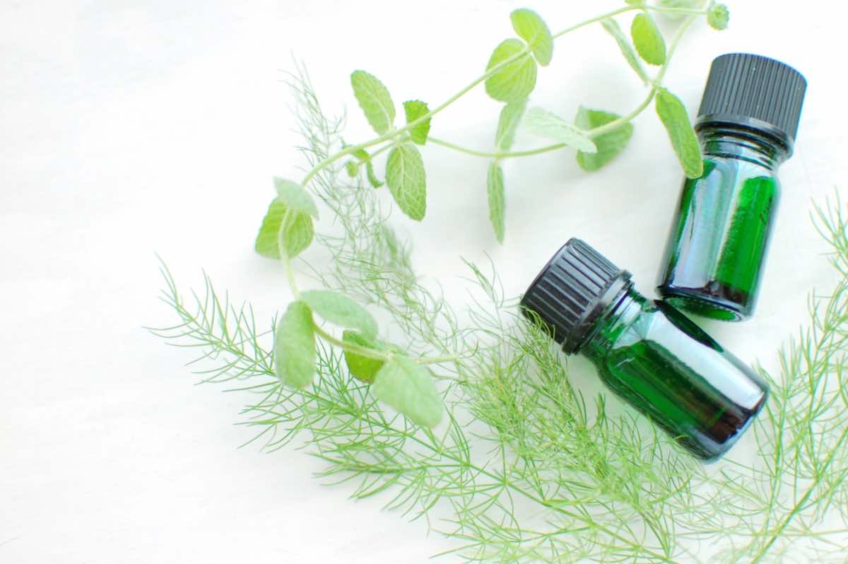 【アロマ資格】おすすめ現代人に必要な癒しの知識を身につけたい方必見