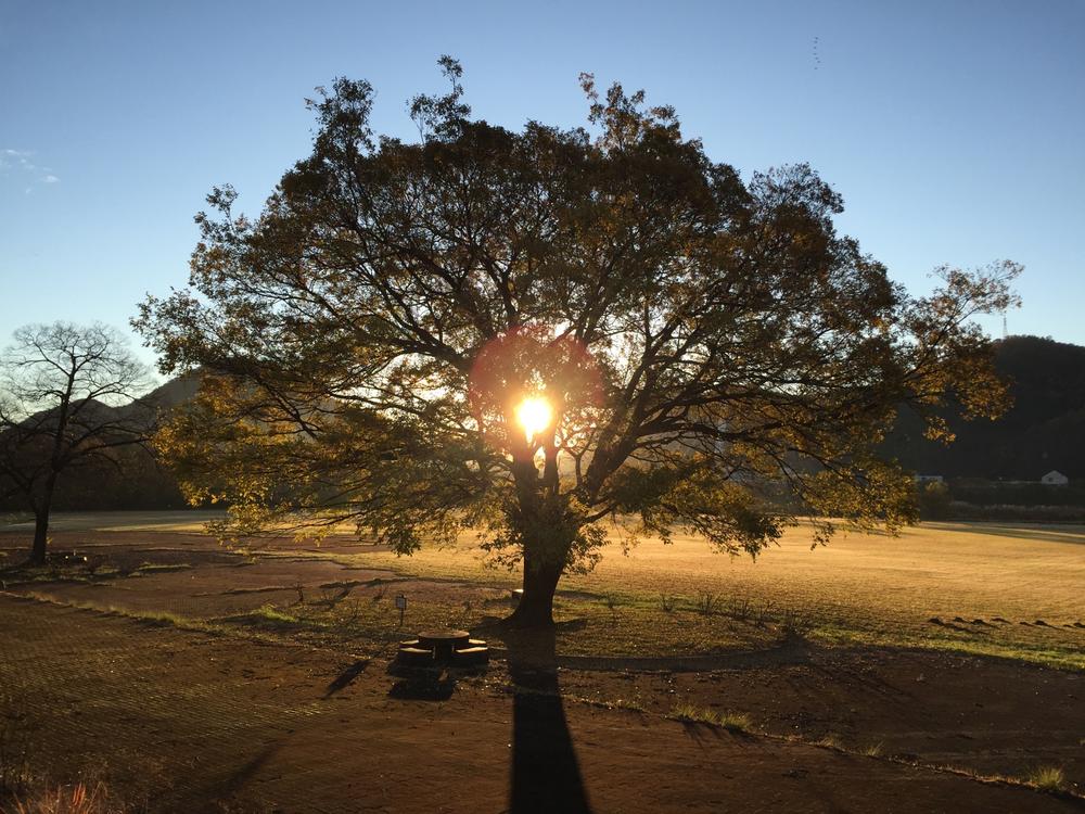 四柱推命の格局・通変星とは？運勢と相性、特徴を解説