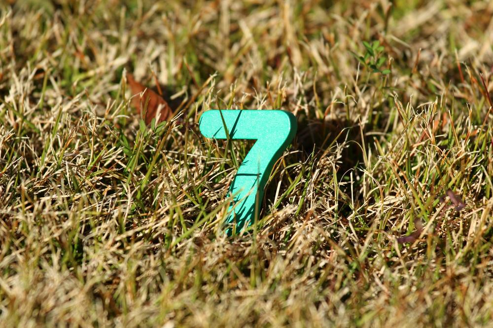 カバラ数秘術「運命数7」とは？性格や恋愛傾向、適職など徹底解説