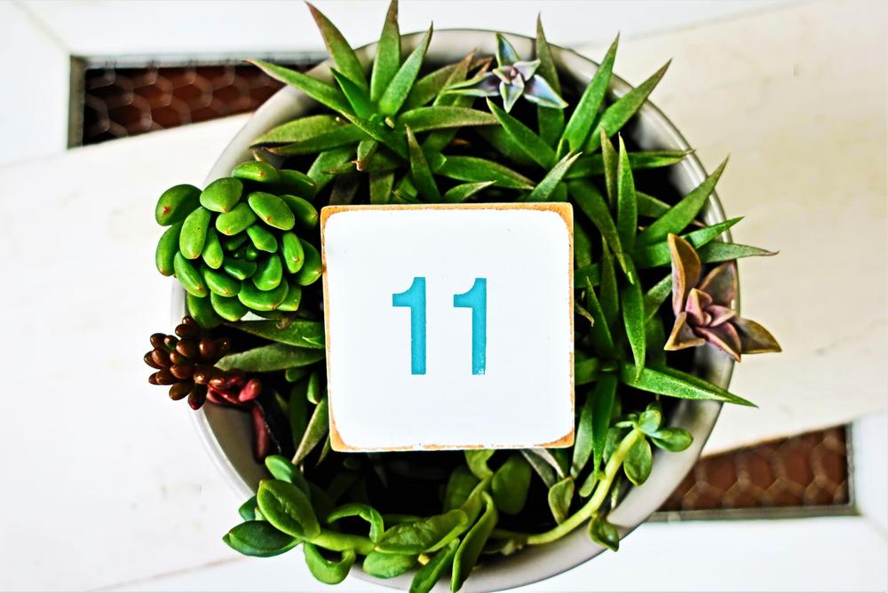 カバラ数秘術「運命数11」とは？性格や恋愛傾向、適職を徹底解説